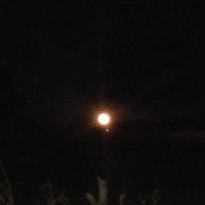 Meet your Posher, Bryan